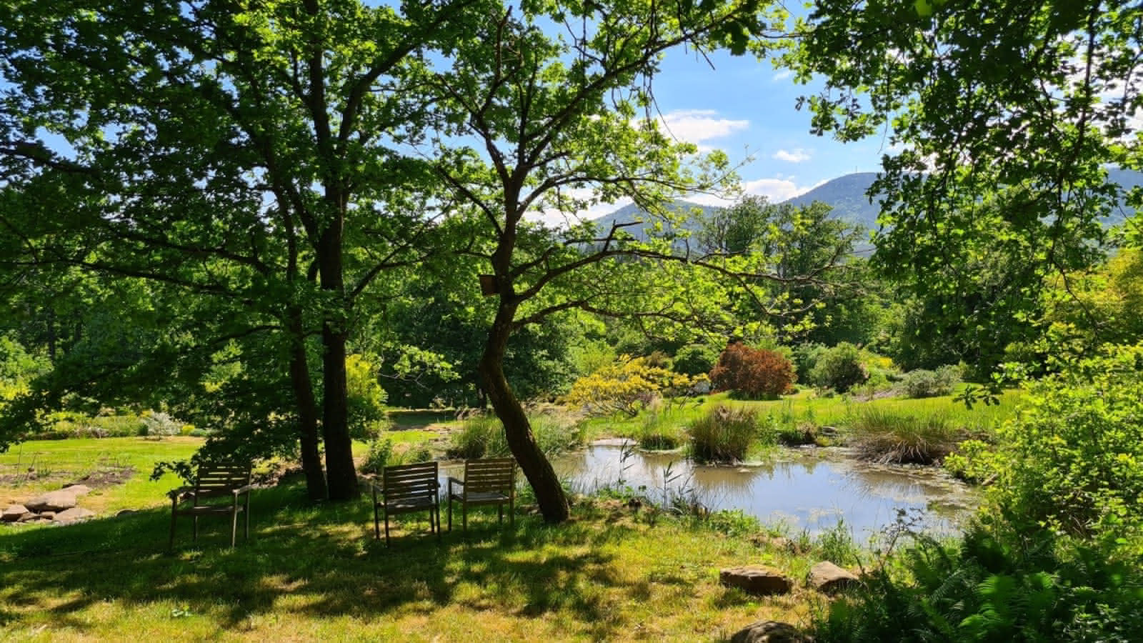 Visuel d'introduction au projet du Jardin LilaVeronica